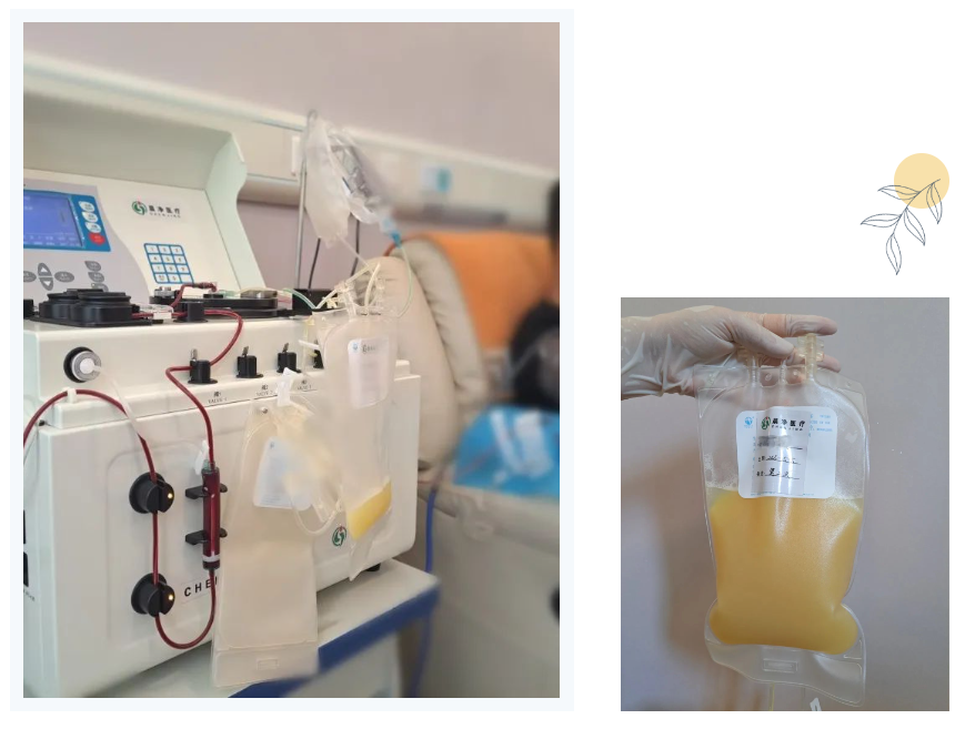 1692428180394.png 1692428180394.png