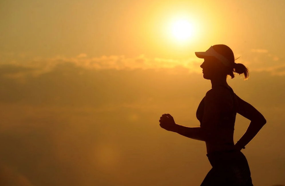 1692429907232.png 1692429907232.png